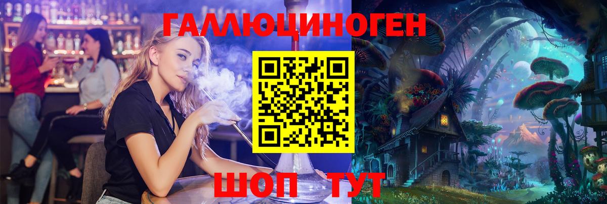 Псилоцибиновые грибы Psilocybe Шебекино